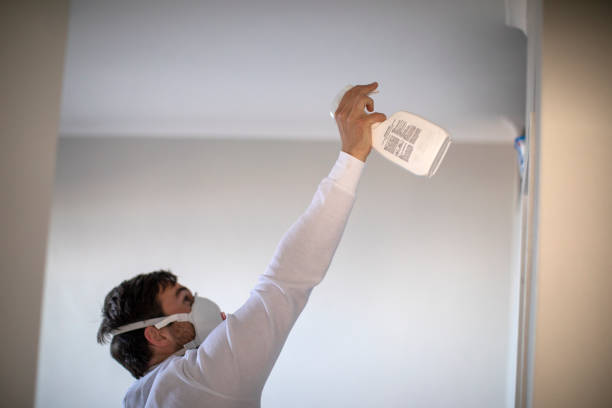 Best Black Mold Removal  in Union Springs, AL